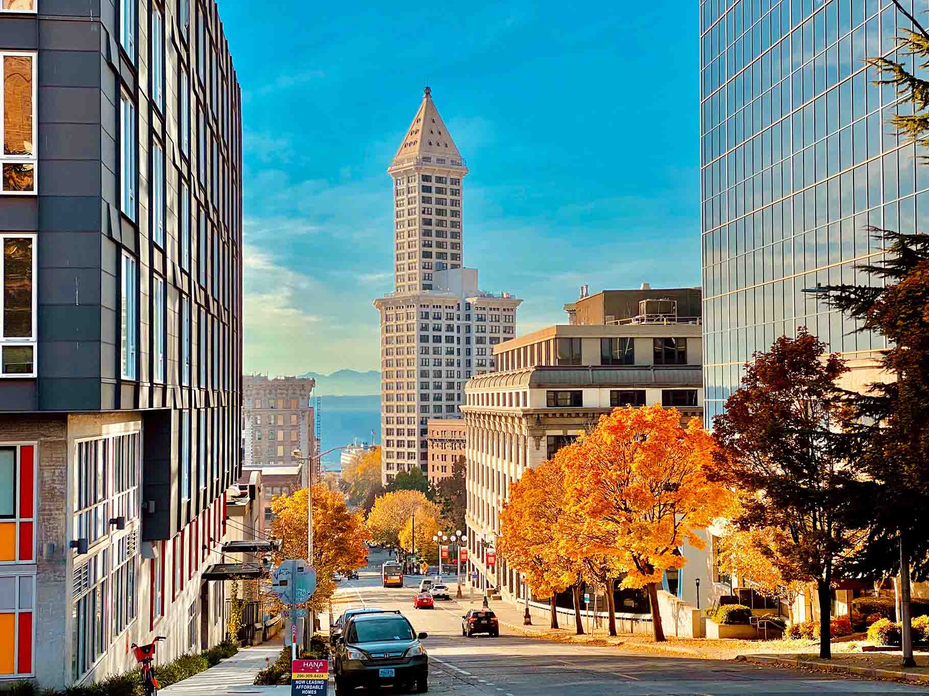 Sunny downtown street with autumn trees and tower