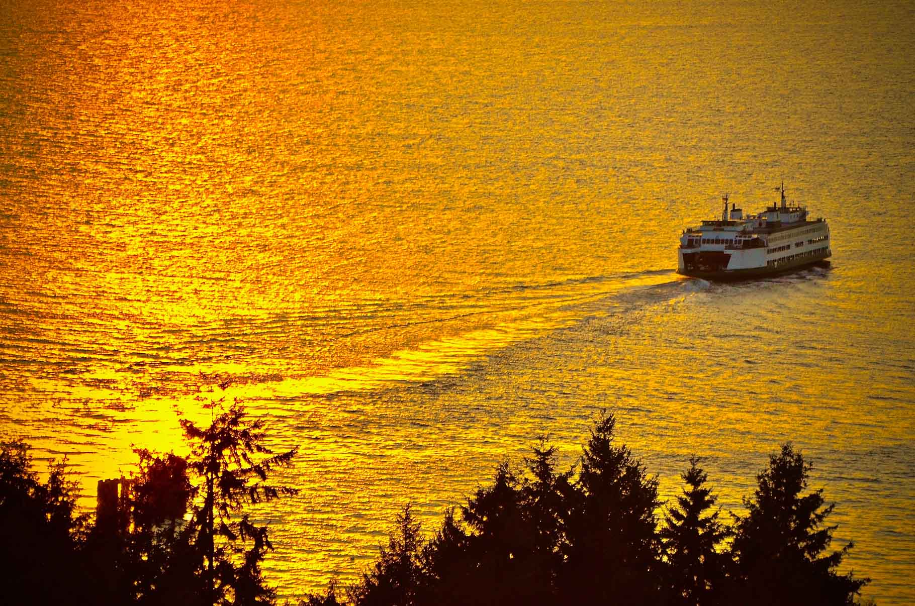 Ferry on golden sunset water near trees